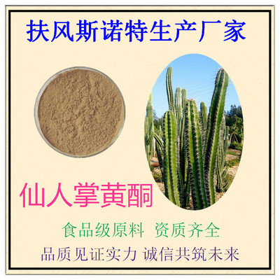 仙人掌黄酮10%-50%规格定制 扶风斯诺特引领植物提取物研发创新