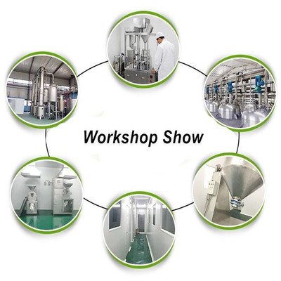 斯诺特植物提取物研发 从红辣椒速溶粉到浓缩粉的创新之路