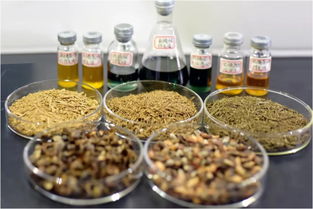 郑州大学贾陆教授团队突破创新 金丝楠木提取物研发获国家专利，植物提取技术再攀高峰