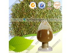 天然植物精华 优质小茴香提取物的研发与应用