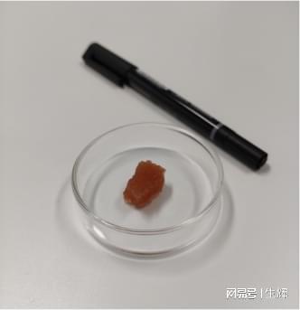 极麋生物突破 5种动物细胞培育成功，植物提取物引领培养基成本革命