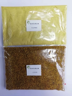 从田野到药典 玉米花粉、破壁玉米花粉与高粱花粉的植物提取物研发新视角